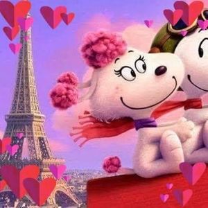 Meet your Posher, Laurie